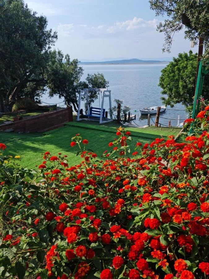 Qcunda Otel ไอวาลิค ภายนอก รูปภาพ